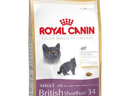 Royal Canin British Shorthair Adulto Online Hot Sale