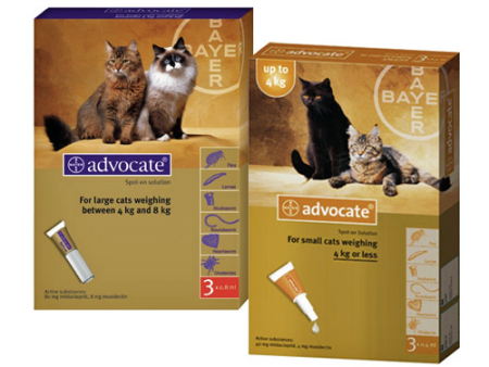 Advocate Gato Online Hot Sale