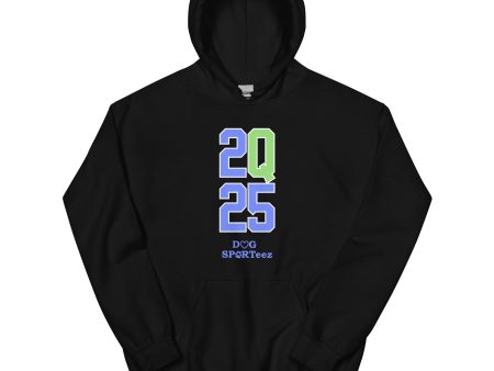 2Q25 Blue and Green Q Unisex Hoodie Online Sale