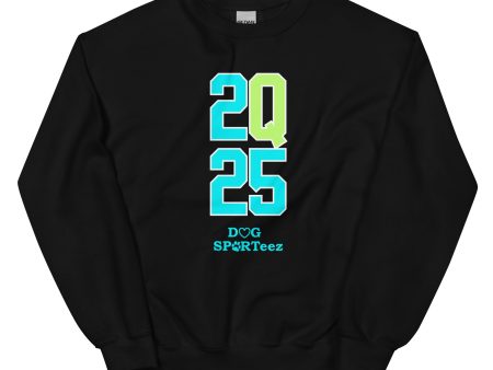 2Q25 Turquoise and Lime Unisex Sweatshirt Online Hot Sale