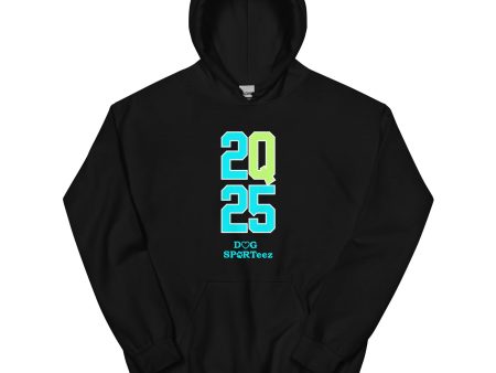 2Q25 Turquoise and Green Q Unisex Hoodie For Cheap