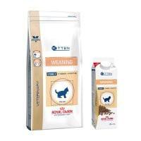 Royal Canin Weaning Feline Online