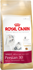 Royal Canin Persian Adulto Supply