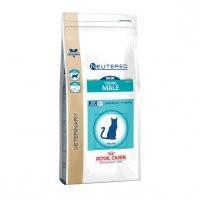 Royal Canin Skin Young Male Feline Supply