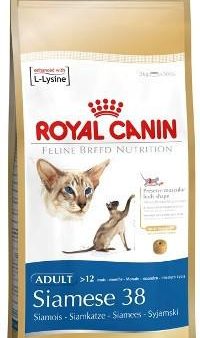 Royal Canin Siamese Adulto For Discount